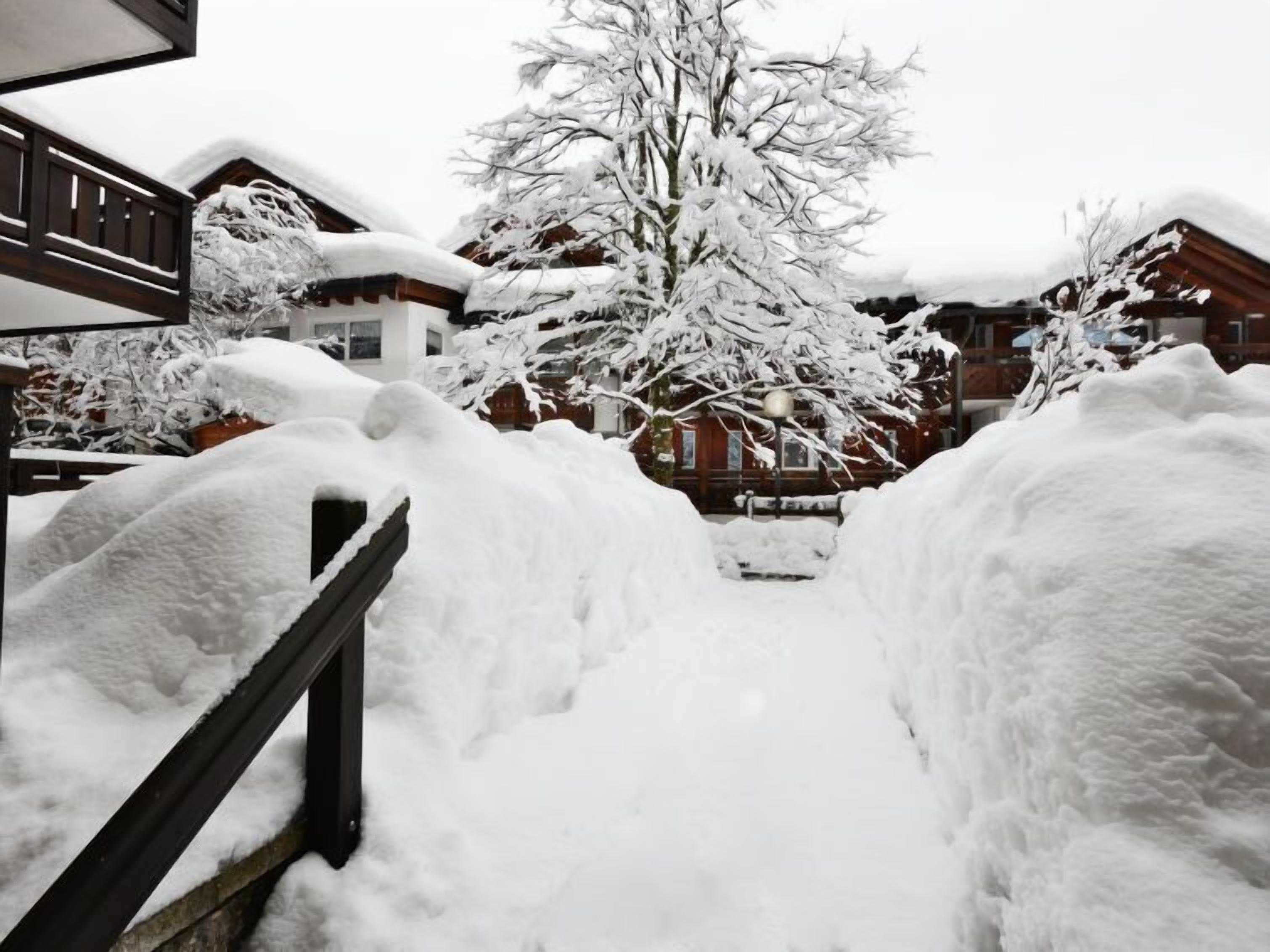 Een besneeuwd landschap met een houten hek en een met sneeuw bedekte boom op de achtergrond.