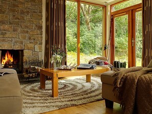 電視、壁爐、DVD 播放機