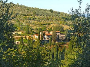 Un village rural aux maisons traditionnelles en pierre, entouré d’oliviers et de cyprès.