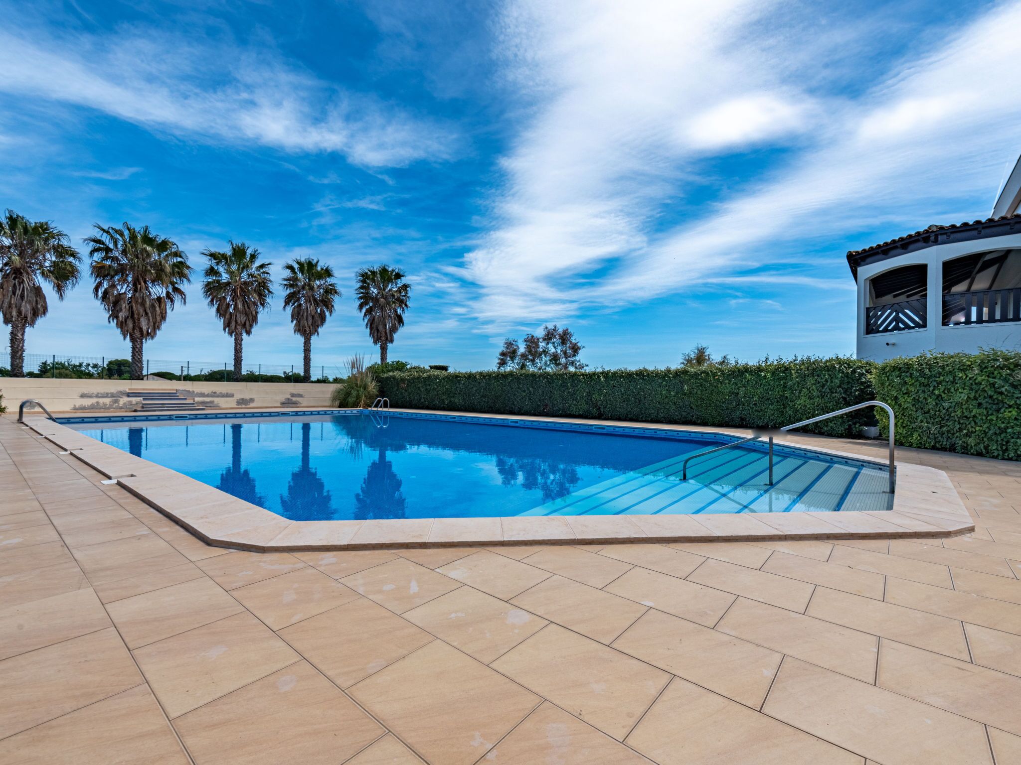 Piscina com deck ladrilhado, rodeada por palmeiras e um muro vivo, sob um céu claro.