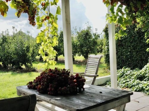 De Orangerie by Interhome