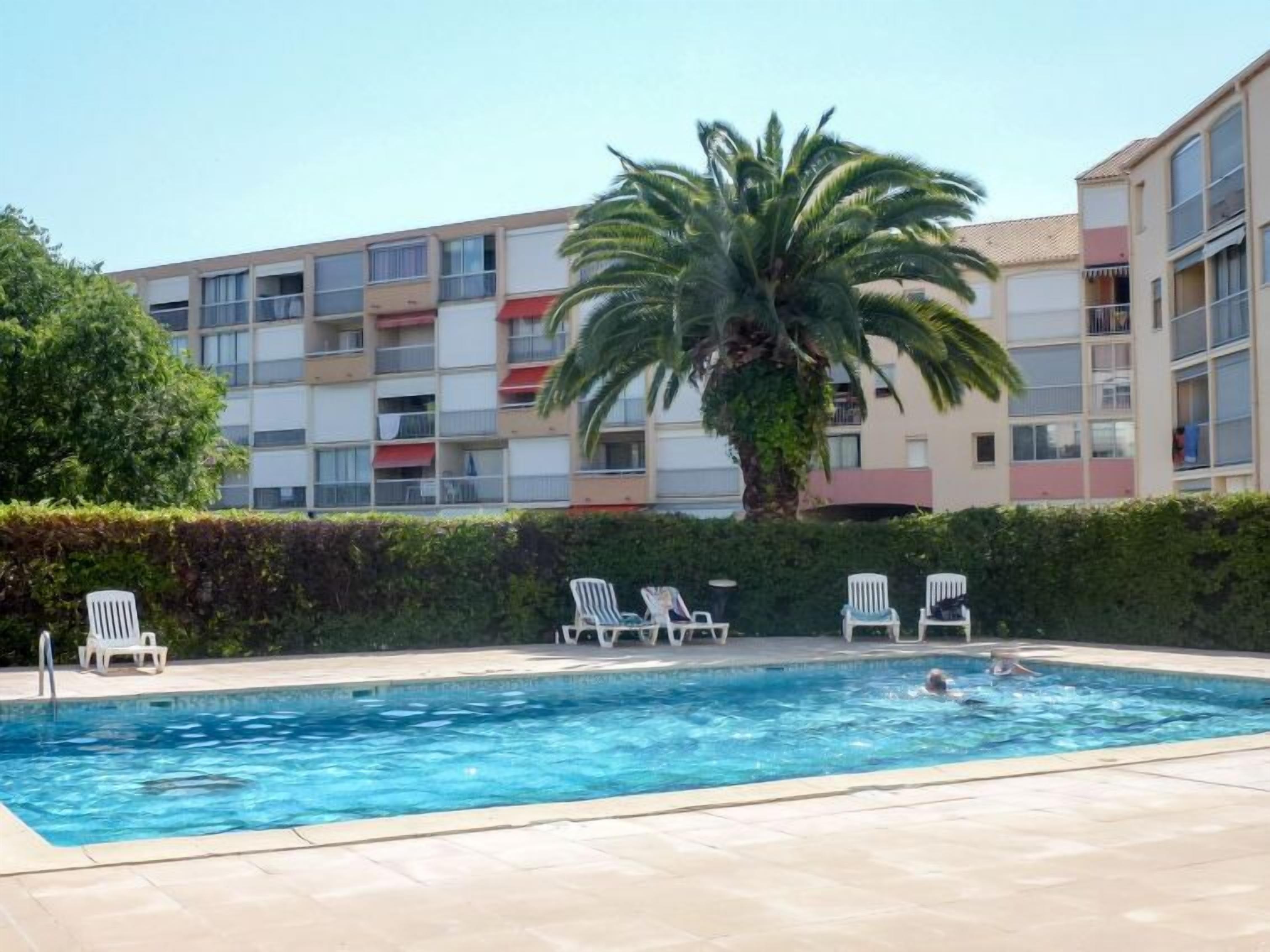 A swimming pool with lounge chairs, a palm tree, and a multi-story building with balconies in the background.