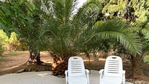 Zwei weiße Lounge-Stühle gegenüberliegend, mit einer Palme und felsigem Gelände im Hintergrund.