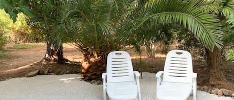 Deux fauteuils blancs, placés face à face, avec un palmier et un paysage rocheux en arrière-plan.