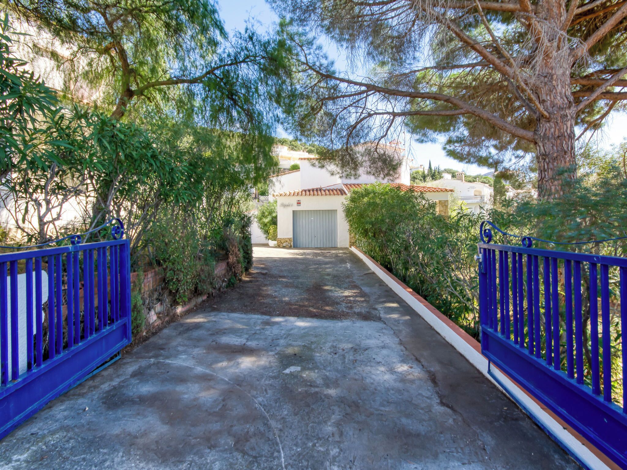 A paved pathway leading to a building with a garage door, surrounded by trees and a blue fence.