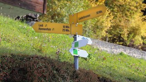 Un panneau indicateur avec plusieurs flèches pointant vers différentes destinations, notamment « Lederbrunnen » et « Hunnenfluh ».