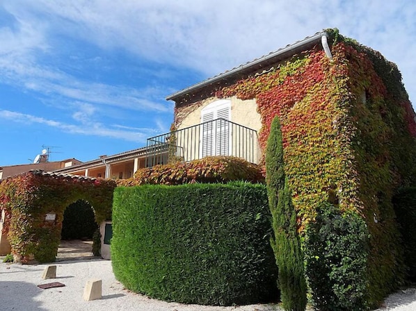 A building with a unique facade covered in ivy and colorful leaves, a well-maintained hedge, and a clear sky.