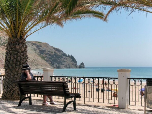 A bench and a palm tree by a beach with clear skies and rocky cliffs in the background.