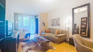 Fernseher, DVD-Player