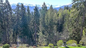 A mountainous landscape with dense forests and a well-maintained garden area.
