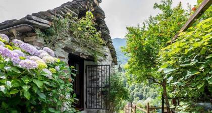 Il Gianlupo by Interhome