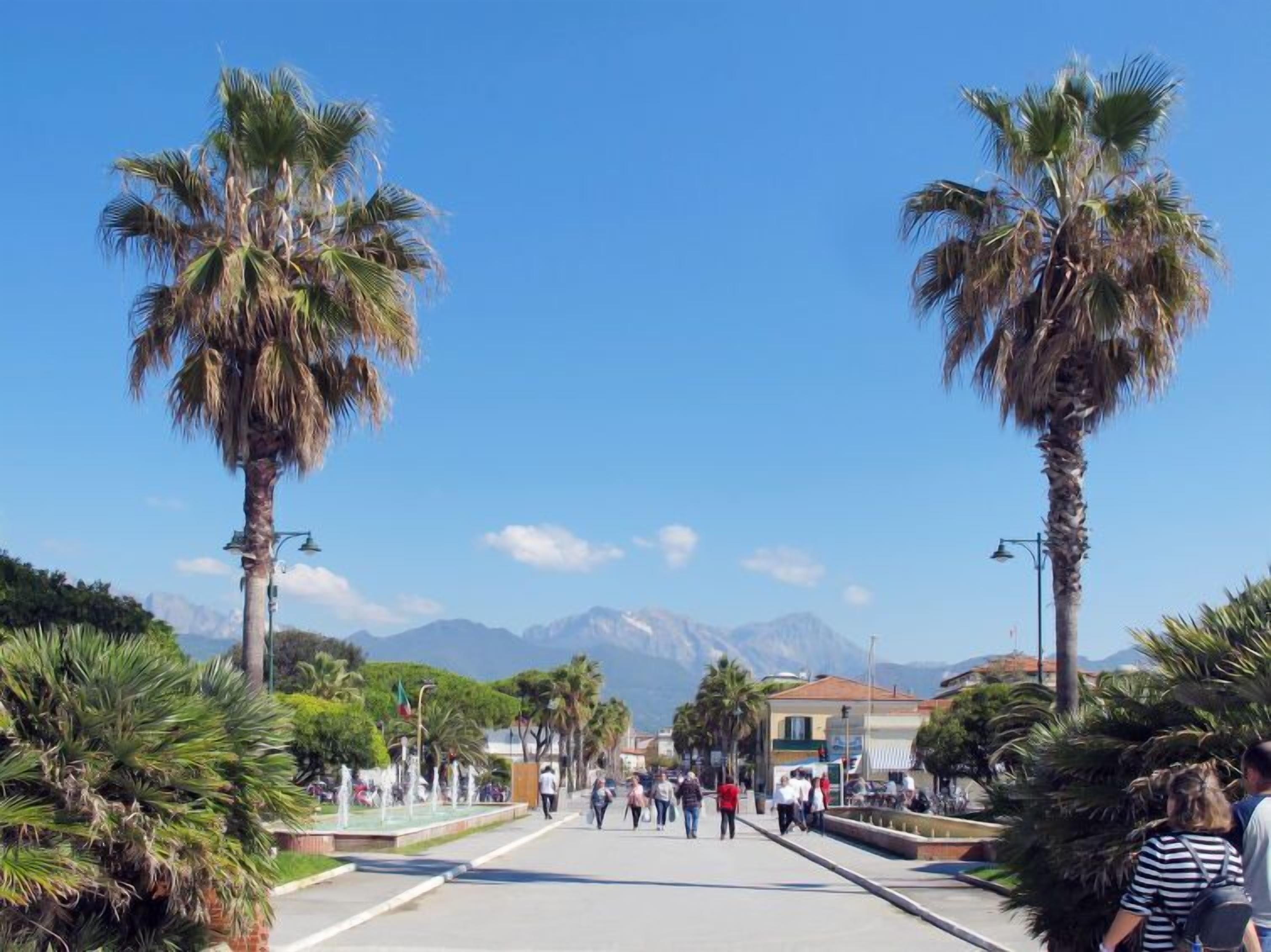 Une rue piétonne bordée de palmiers et agrémentée d’une fontaine, qui mène vers une chaîne de montagnes.