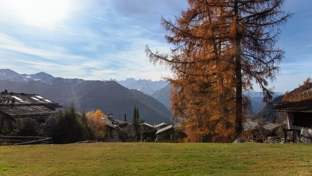 A rural landscape with a large tree, houses, and mountains in the background. - Diure 0113 by Interhome (Verbier)