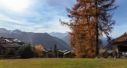 Diure 0113 by Interhome