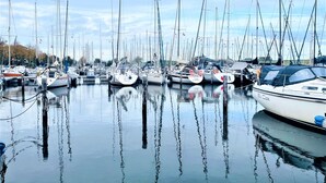 A marina with multiple sailboats docked in calm waters.