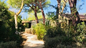 A pathway leading to a rustic building surrounded by dense greenery and tall trees.