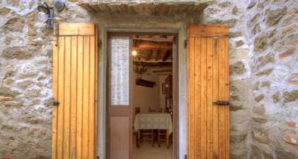 Via Vannocci by Interhome