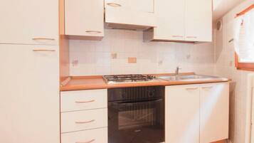 Fridge, oven, cookware/dishes/utensils