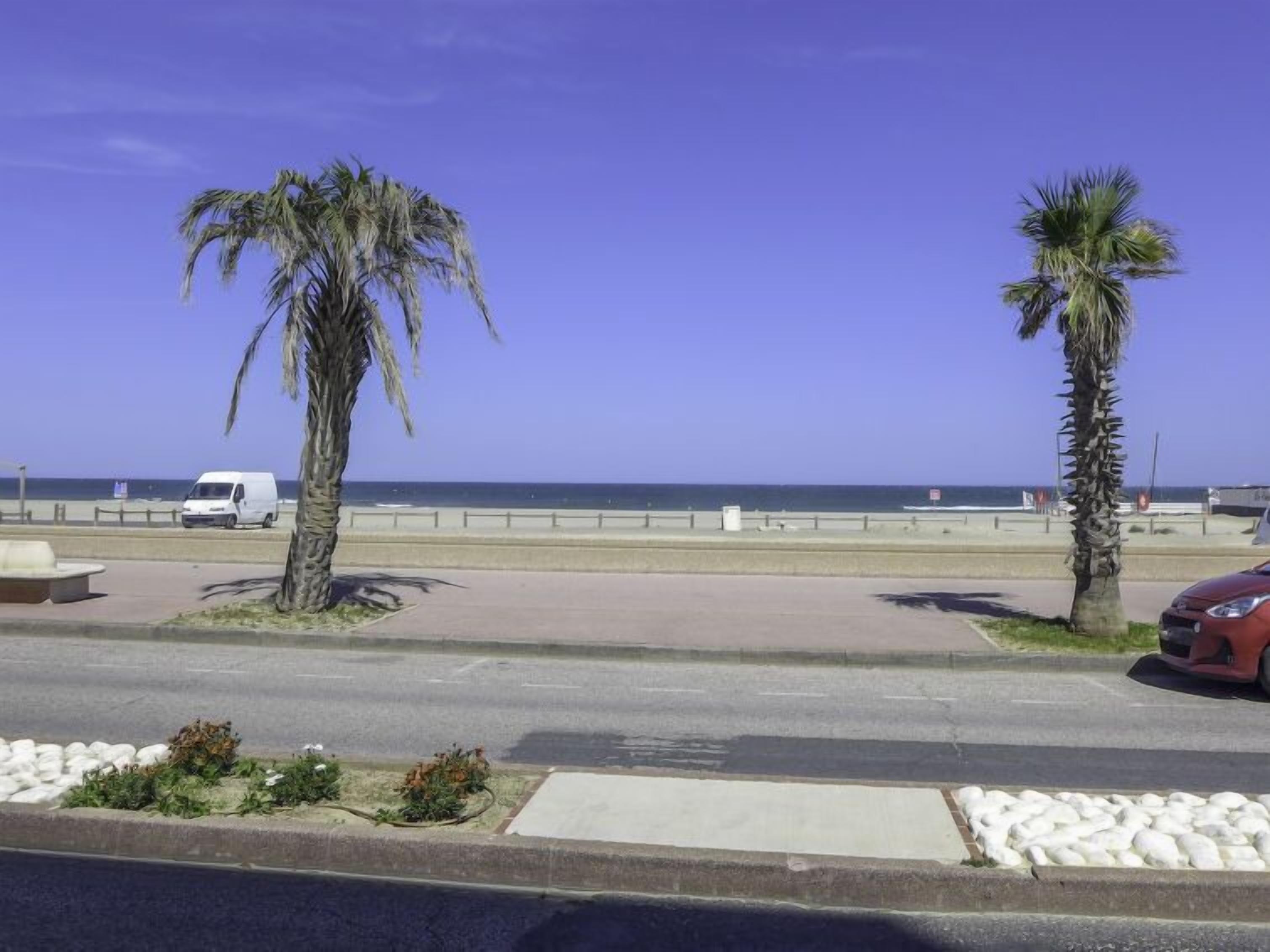 A coastal road with palm trees, a white van, and a red car parked on the side.