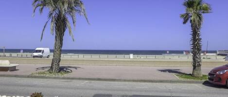 A coastal road with palm trees, a white van, and a red car parked on the side.