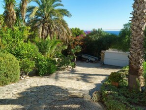 A stone pathway leading to a garage, surrounded by lush greenery and palm trees.