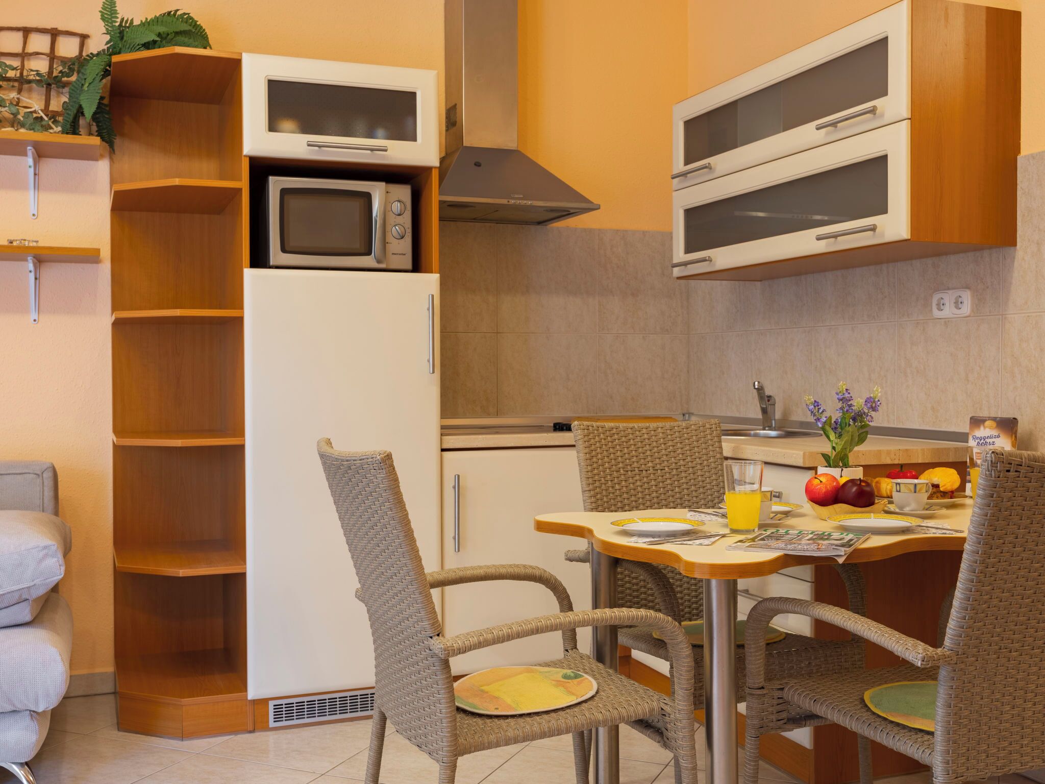 Réfrigérateur, micro-ondes, batterie de cuisine, vaisselle et ustensiles