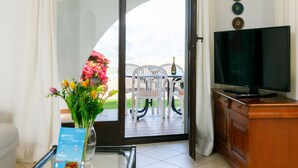 TV