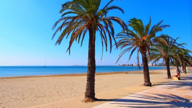 Ein Strand mit Palmen und blauem Himmel.