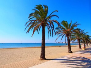 A beach with palm trees and a clear blue sky.