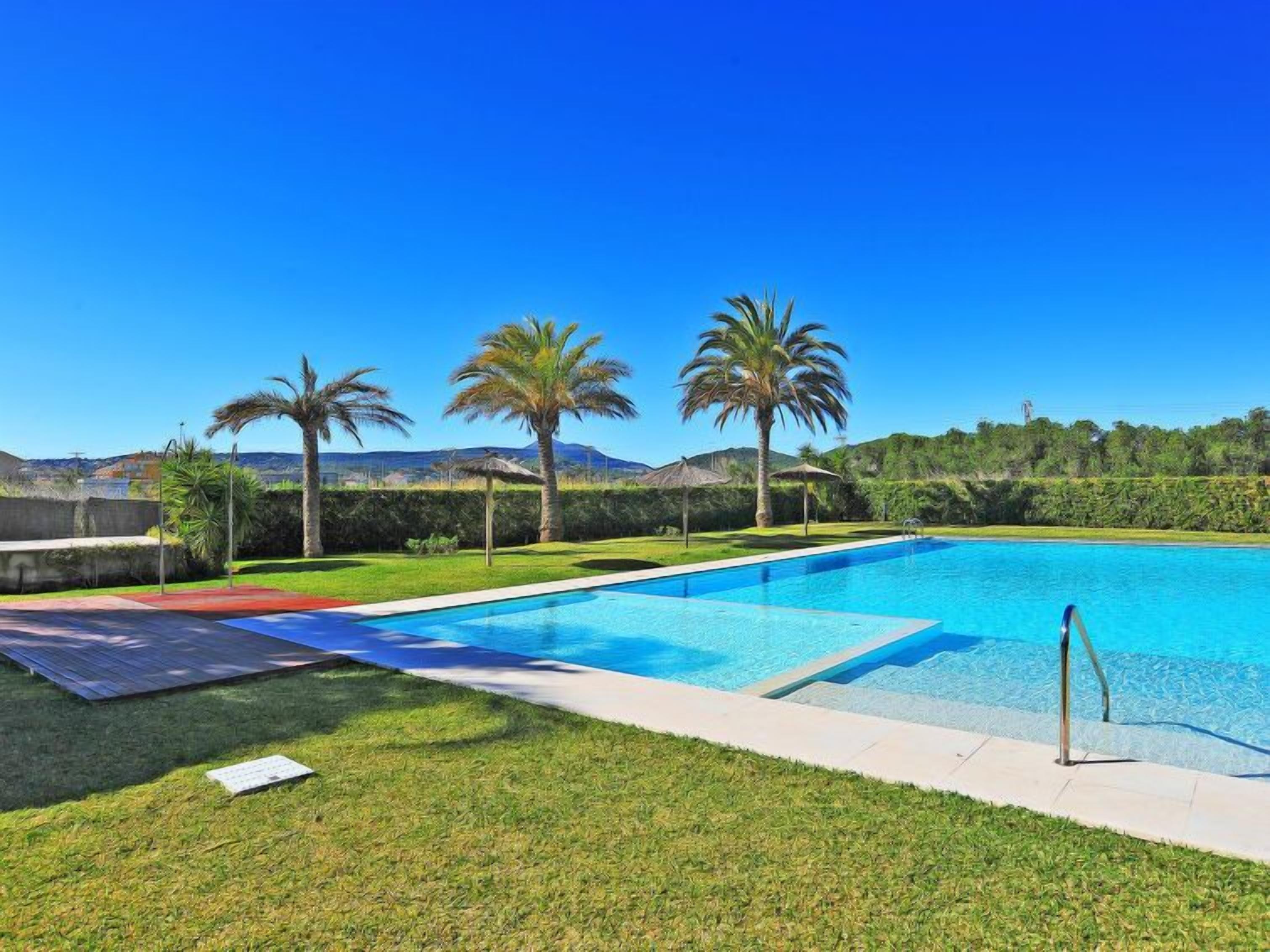Ein rechteckiger Swimmingpool mit klarem, blauem Wasser, umgeben von einem gepflegten Rasen und Palmen.
