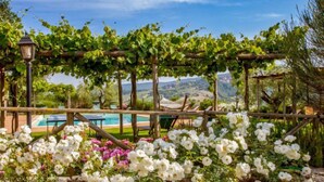 Un jardin agrémenté d’une pergola, de fleurs blanches et roses, et d’une piscine en arrière-plan.
