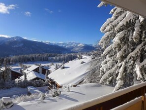 Eine verschneite Berglandschaft mit einer Hütte und Bäumen.