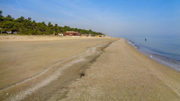 A beach with a clear sky, a sandy shore, and a few buildings in the background. - Cerrano by Interhome (Silvi Marina)