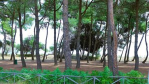 A forested area with tall trees and a dirt path. - Cerrano by Interhome (Silvi Marina)