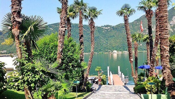 A pathway leading to a body of water with palm trees and greenery on either side. - App. 511 by Interhome (Bissone)