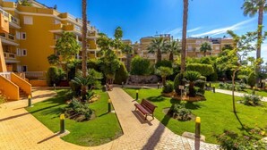 Un patio con un camino, palmeras y una banca.