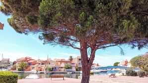 Une promenade bordée d’arbres, avec un banc, un plan d’eau et des bâtiments en arrière-plan.