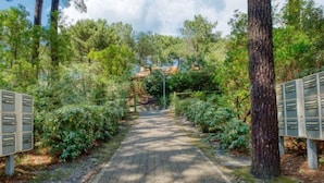 Een geplaveid pad, omzoomd door weelderige begroeiing en bomen, dat naar een gebouw in de verte leidt.