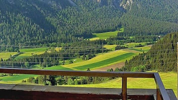 Une vue depuis un balcon doté d’une balustrade, donnant sur une vallée avec des champs et des forêts, et des montagnes en arrière-plan.