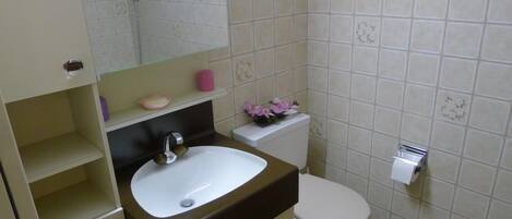 A bathroom with a white sink, a toilet, and a mirror above the sink.