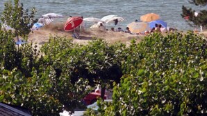 Una playa con sombrillas y gente.