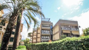 A pathway flanked by a palm tree and a hedge leading to a multi-story building with balconies. - Caterina by Interhome (Sestri Levante)