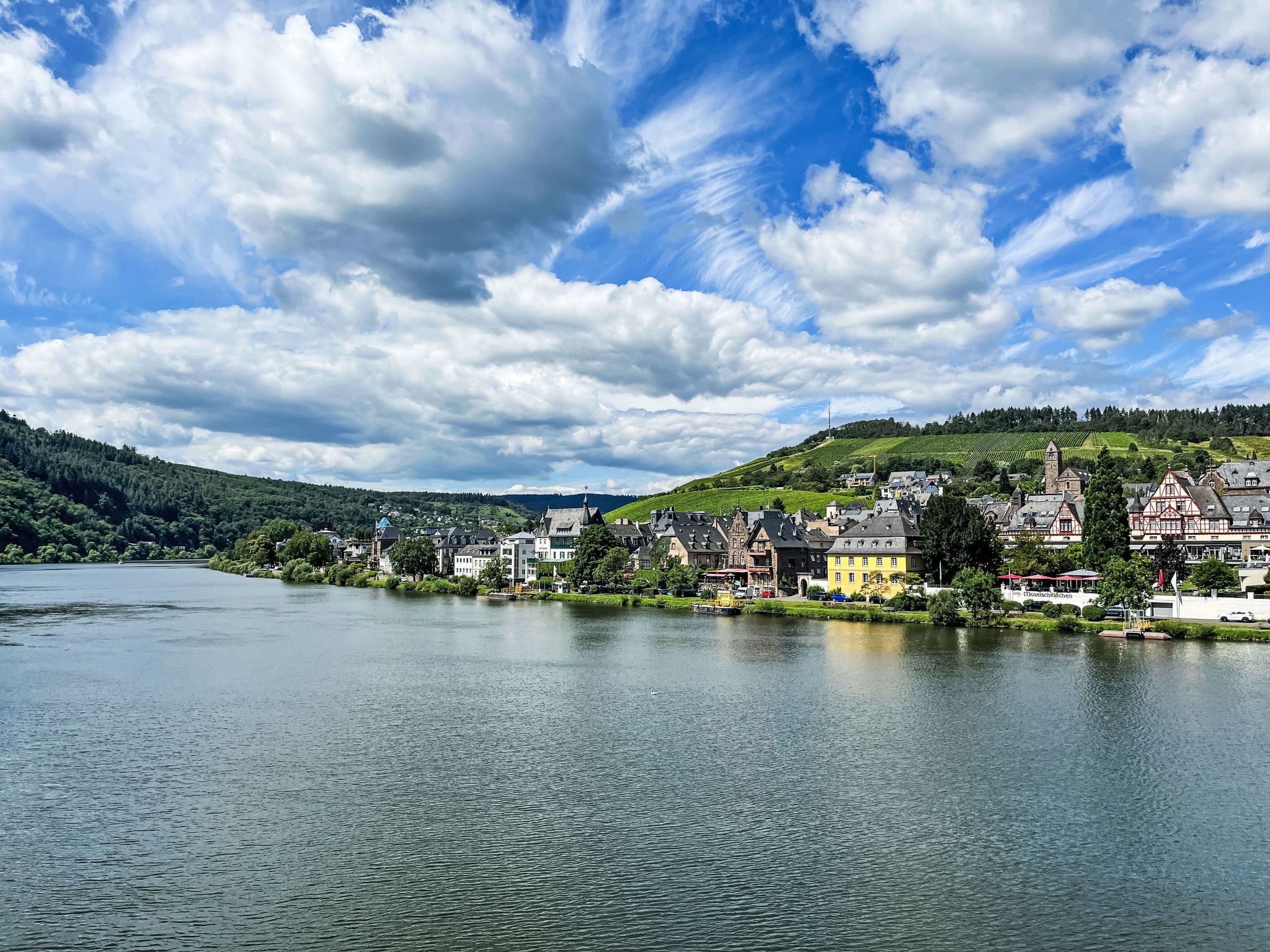 A riverside town with historic buildings, a bridge, and a hill with vineyards.