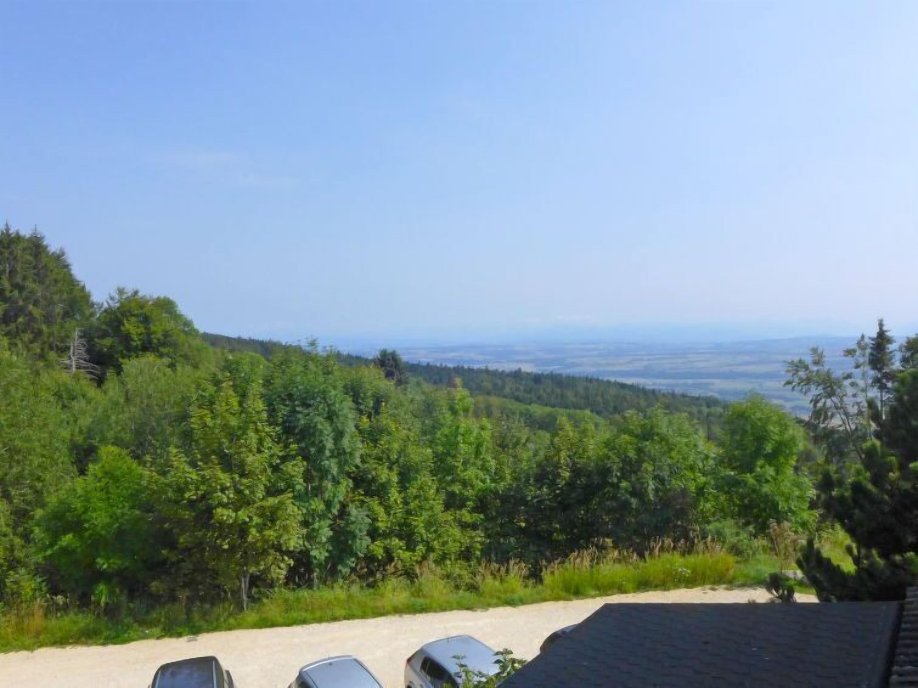 A view of a forested hillside with a clear sky.