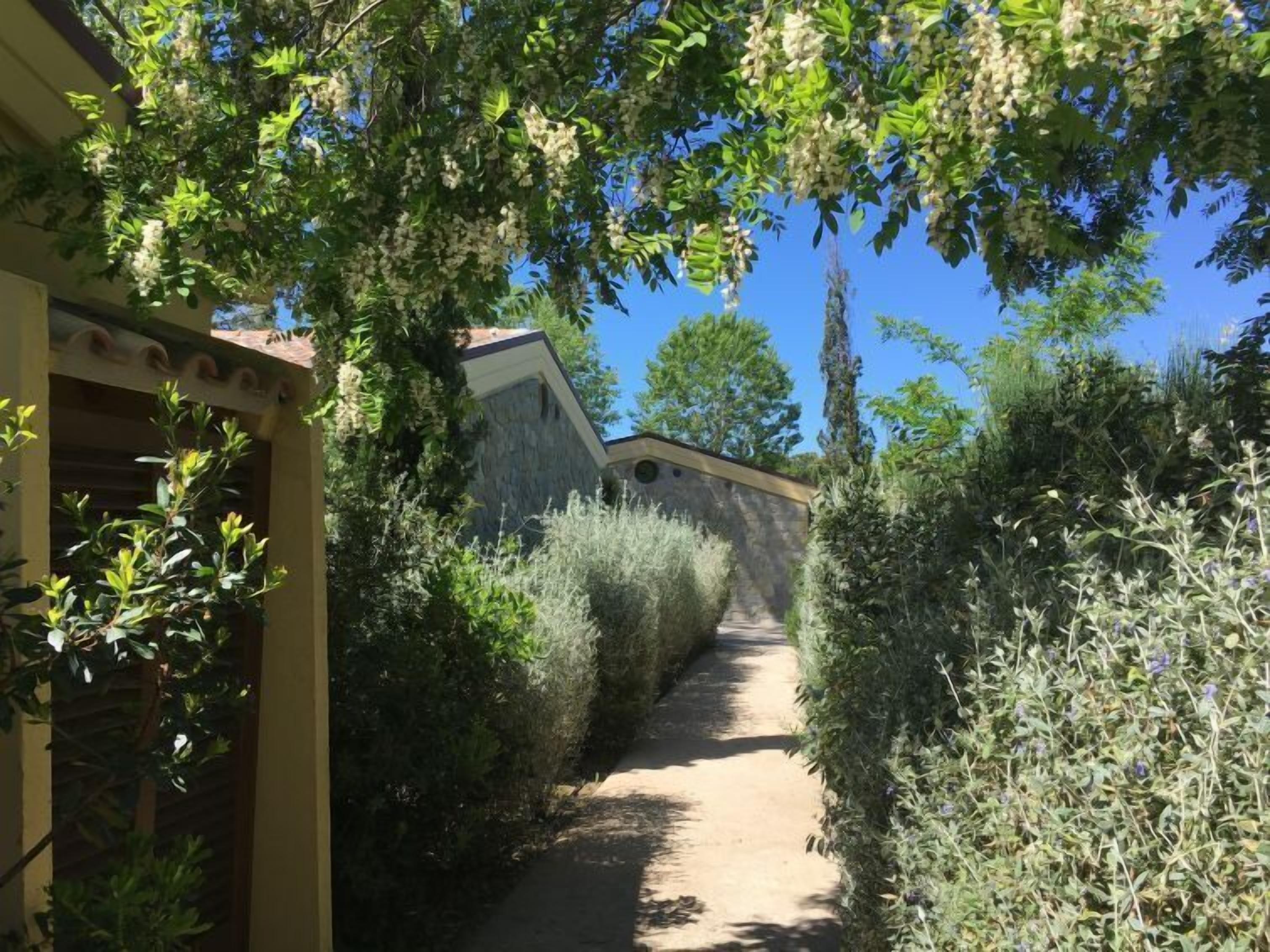 A narrow pathway flanked by dense vegetation and a building with a stone facade.