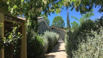 A narrow pathway flanked by dense vegetation and a building with a stone facade.