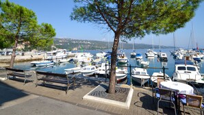 Un port de plaisance avec des bateaux amarrés, un banc et un arbre.