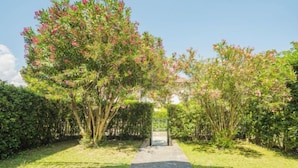 A pathway leading through a garden with flowering trees and a hedge on either side. - Lucerna Due by Interhome (Ameglia)