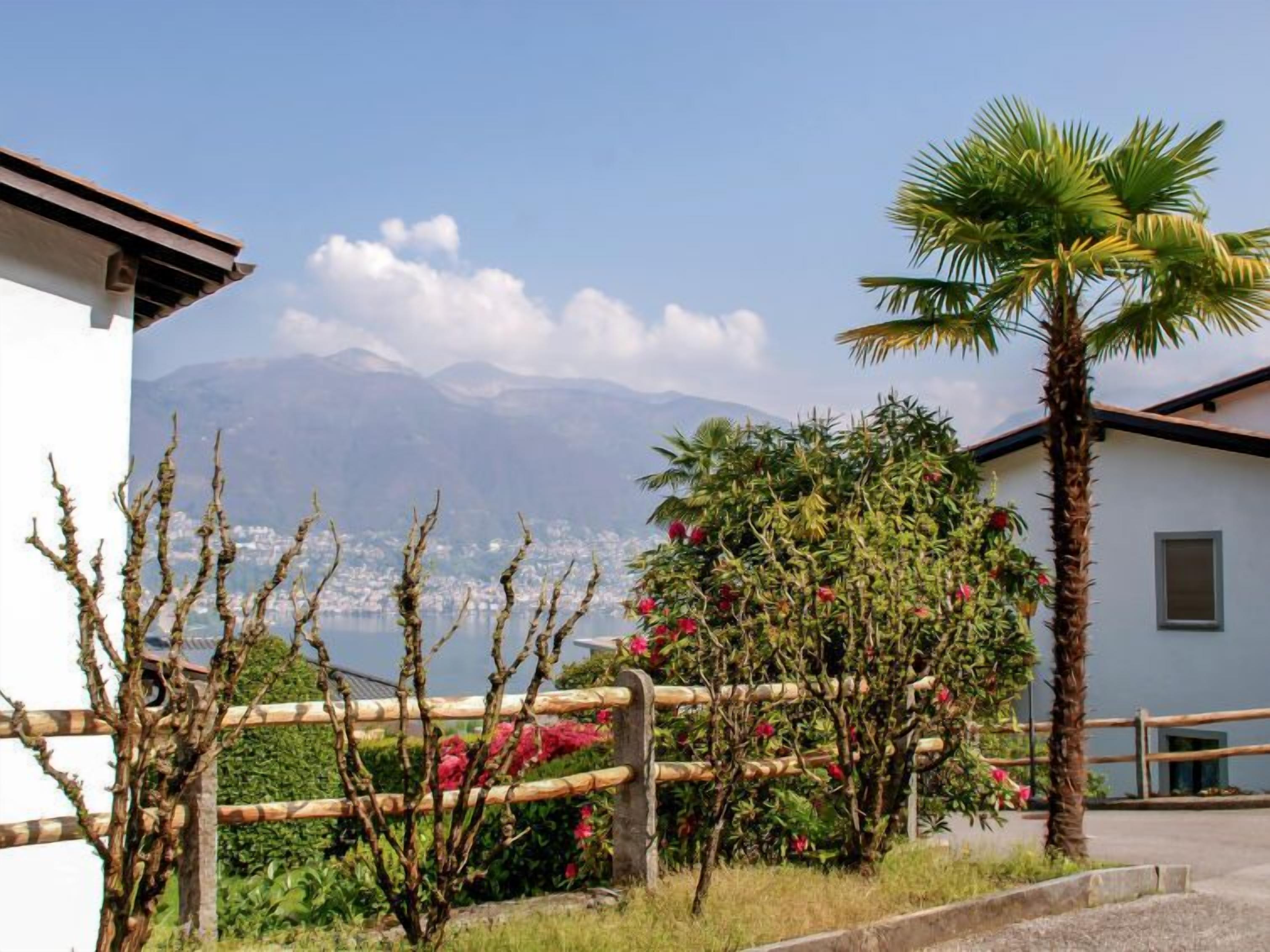 A residential area with a view of a mountain, a palm tree, and a wooden fence.