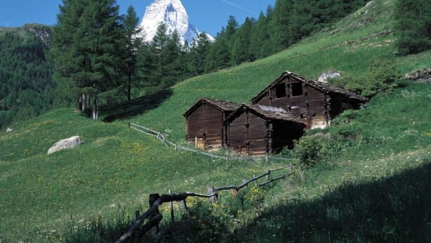 Une cabane en bois rustique, située sur une colline, avec une montagne en arrière-plan.